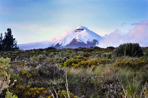 Ecuador Cities & Volcanoes: Quito to Cotopaxi - 12 Days | kimkim