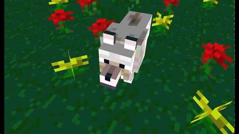 Taming A Wolf - A Minecraft Animation - YouTube