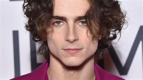 Timothée Chalamet Will Reportedly Play Bob Dylan in James Mangold ...