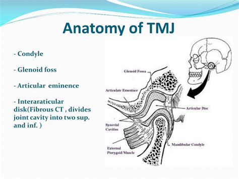 PPT - Diagnostic Imaging of the Temporomandibular Joint PowerPoint ...