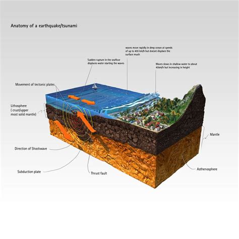 earthquake modeled 3d model | Earthquake, Tectonic plates project, Plate tectonics