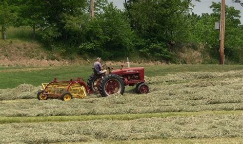 Wild Rose Farm: Hay Season Already!