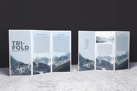 Free 2 Sided Tri-Fold Brochure Mockup PSD #1