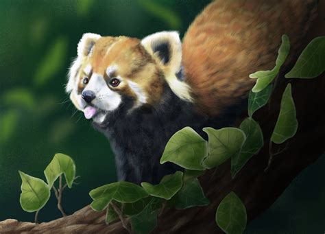 ArtStation - Animal digital paintings