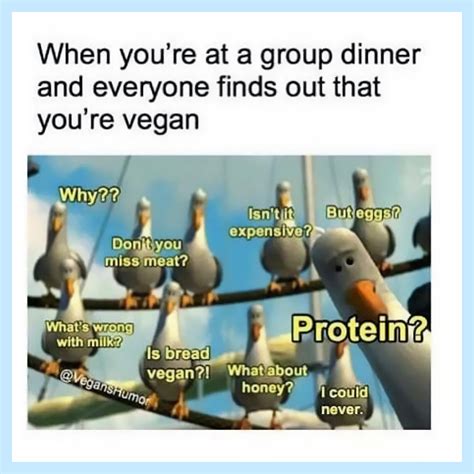 16 Relatable Funny Vegan Memes To Share | VegNews