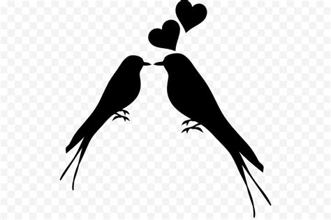 Love Birds Vector Png - Clip Art Library