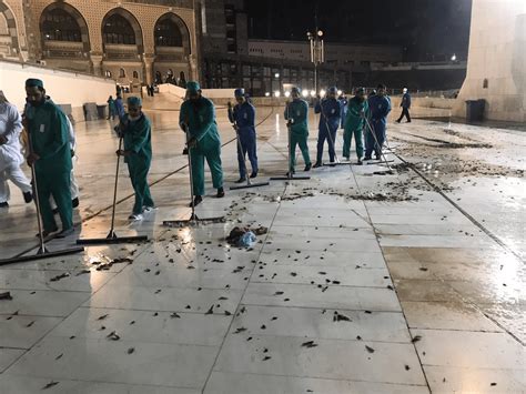 Mecca's Grand Mosque plagued by swarm of locusts | The Times of Israel