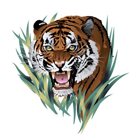 tiger head . Angry tiger face. The grin of a tiger. Detailed drawing of a tiger. The symbol of ...