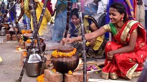 What is Kaanum Pongal? and why we are celebrating Pongal? Thai Pongal