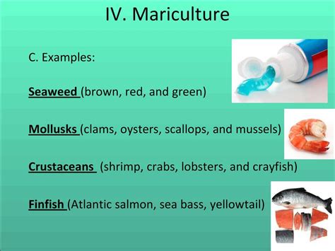 Unit 2 – Food From The Sea. - ppt download