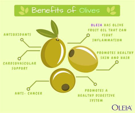 Benefits of Olives | Healthy digestive system, Nutrition month, Olive fruit