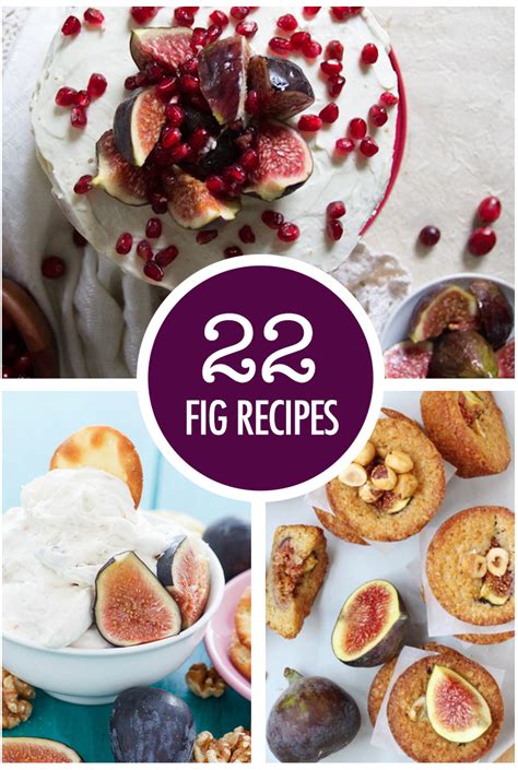 22 Mouthwatering Fig Recipes | Food Bloggers of Canada