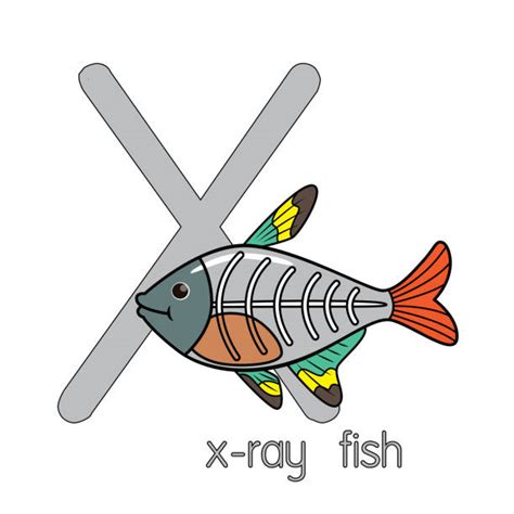 Xray Fish Illustrations, Royalty-Free Vector Graphics & Clip Art - iStock