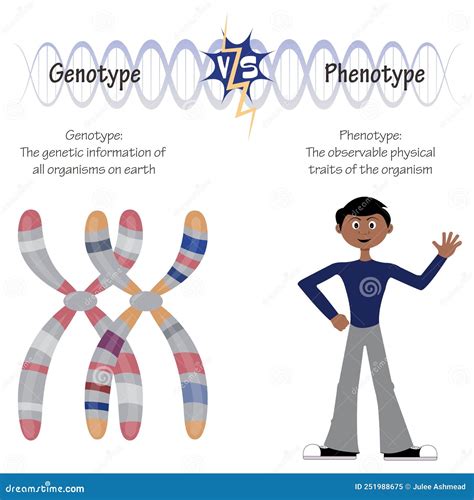 Genotypes Cartoons, Illustrations & Vector Stock Images - 22 Pictures to download from ...