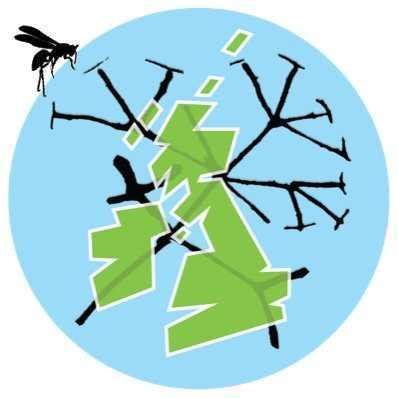 DNA Barcoding Standard Operating Protocol, Plants and Lichens at RBGE, Sanger Sequence Data