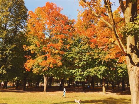 8 Best Places to See Fall Colours in Toronto