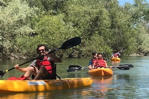 Guided Kayak Tour on Russian River