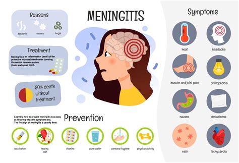 Understanding Meningitis: Causes, Symptoms, And Treatment - Ask The ...