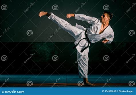 Portrait of a Martial Arts Master on the Black Background Stock Photo - Image of lifestyle ...