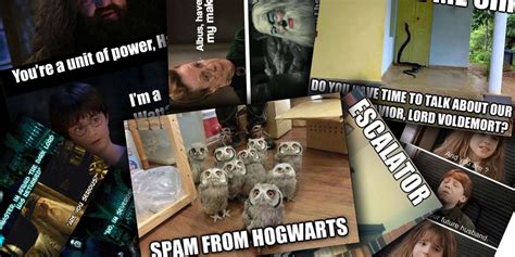 Best Harry Potter Memes to Give You Some Magical Laughs