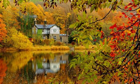 autumn, Fall, Landscape, Nature, Tree, Forest, Leaf, Leaves, House ...