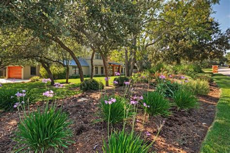 Xeriscaping in Texas Gardens | HGTV