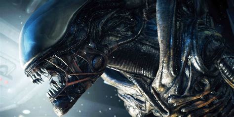 Alien Covenant: 8 Things That Worked (And 7 That Didn’t)