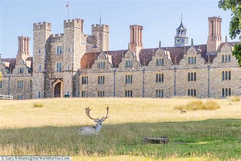 A beautiful day at Knole Park in Sevenoaks - Our World for You