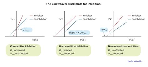 Inhibition - Enzymes - MCAT Content