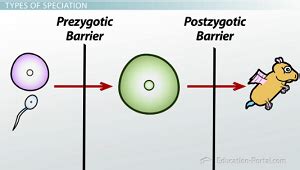 ️ Reproductive isolation definition biology. Gametic Isolation ...