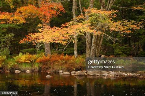 68 Kejimkujik National Park Stock Photos, High-Res Pictures, and Images - Getty Images