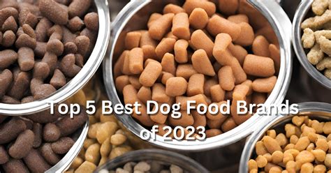 Top 5 Best Dog Food Brands of 2023 - Pet Love Portal