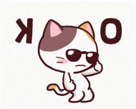 Ok Cat GIF - Ok Cat Cool - Discover & Share GIFs