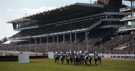 History of Cheltenham Racecourse | The Winners Enclosure