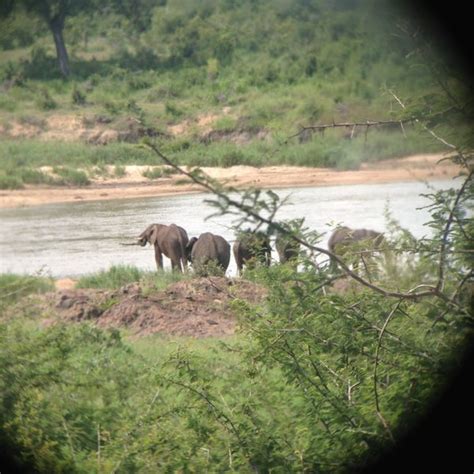 Lower Sabie Rest Camp, Kruger National Park