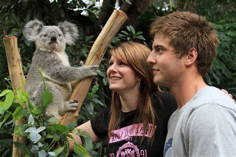 Featherdale Sydney Wildlife Park in Sydney | Pelago