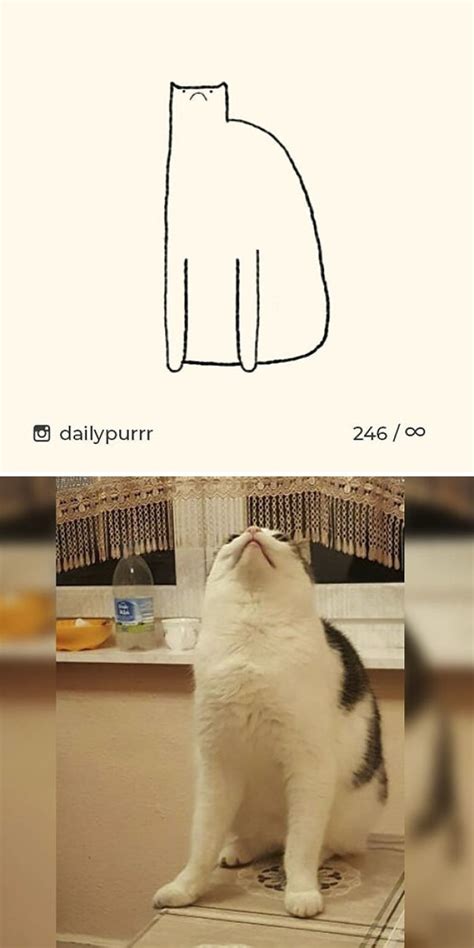 50 Times ‘Stupid Cat Drawings’ Made Everyone Laugh With How Accurate They Were | DeMilked