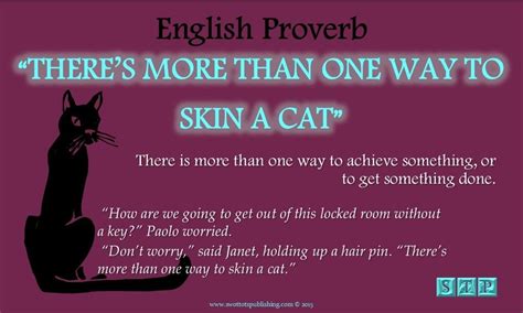 MalaysiaFlipFlop: There are many ways to skin a cat