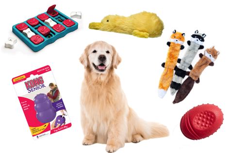 Best Toys and Games for Senior Dogs – American Kennel Club