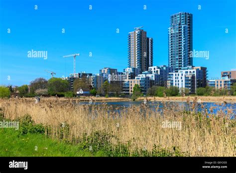 Woodberry wetlands nature reserve at Woodberry Down in London on a sunny day Stock Photo - Alamy