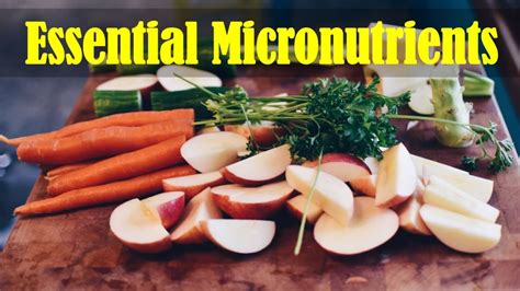 Sources of Essential Micronutrients: Vitamins and Minerals - YouTube