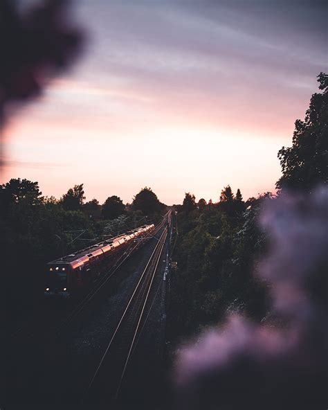 Red train between green trees at golden hour, HD phone wallpaper | Peakpx