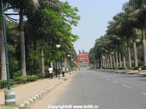 Cubbon Park - Bangalore | itslife.in