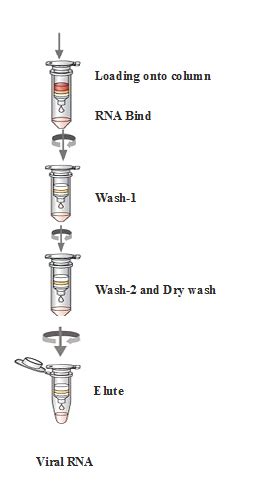 Viral RNA Extraction Kit, RNA Isolation Kit, RNA Extraction Kit Manufacturer