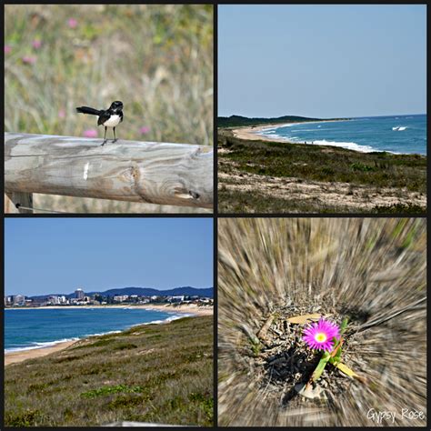 Tuggerah Beach, Magenta