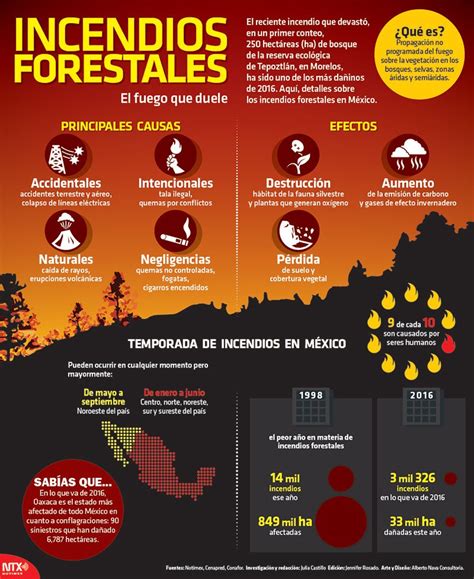 #infografÍa | sobre los incendios forestales en #méxico - scoopnest.com