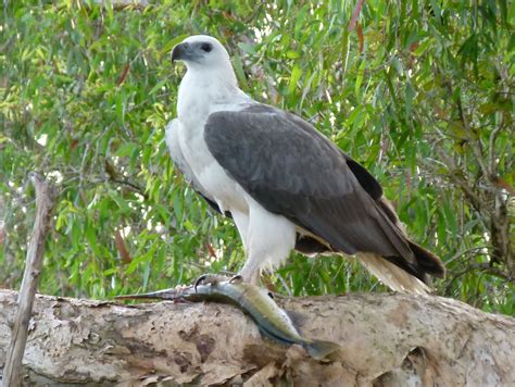 Nature and Wildlife | Kakadu National Park NT | Northern Territories