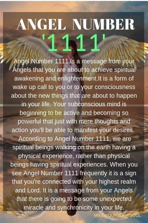 Home - Mind Your Body Soul | Numerology life path, Angel number 1111, Numerology