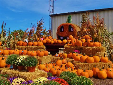 ideas for photo booth decor -- hay bales, mums, pumpkins | Fall festival decorations, Fall photo ...