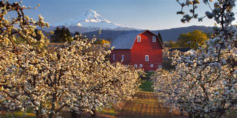 Riding the Fruit Loop - Travel Oregon